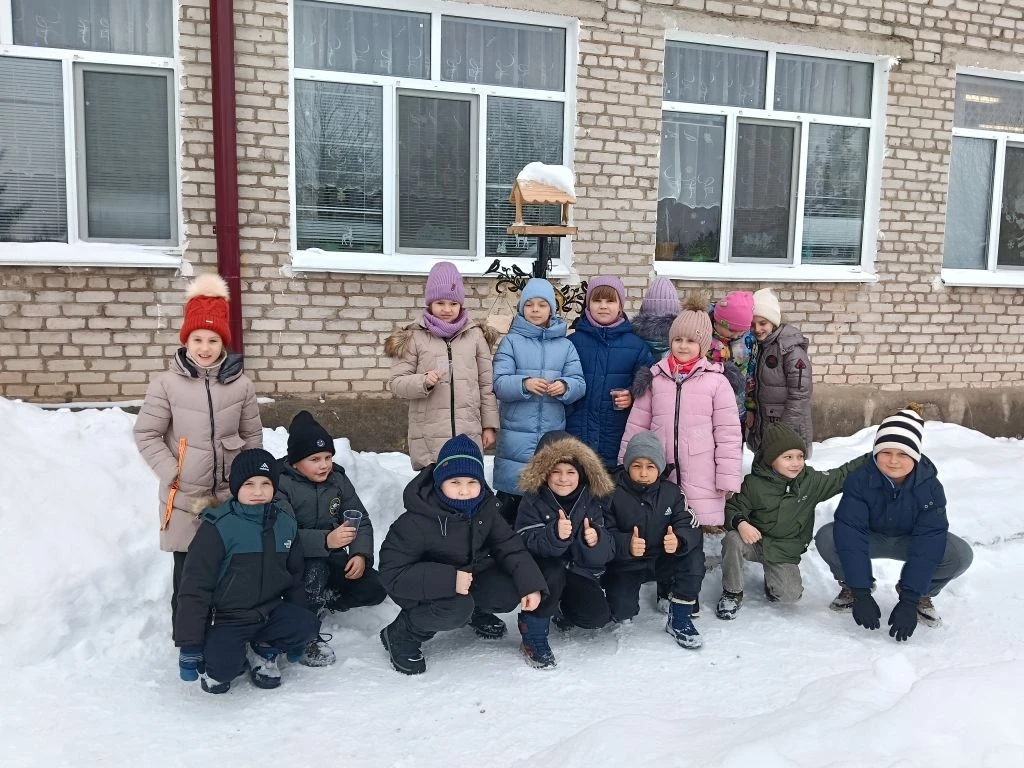 Покормите зимующих птиц Покормите зимующих птиц.